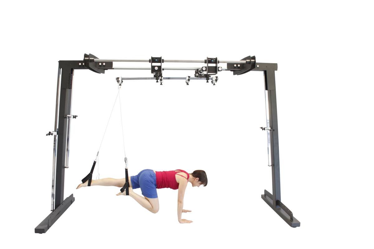 LEVITAS - sling Therapy - exercising in suspenision